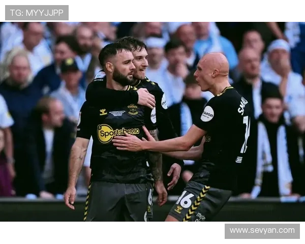 南安普顿俱乐部百年征程与英超新赛季复兴蓝图解析青训战略与未来展望